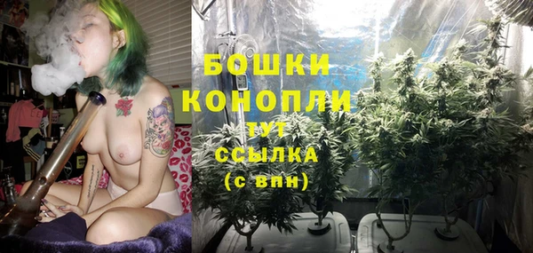 гидра Баксан
